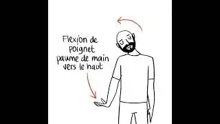 Neurodynamique du nerf Radial