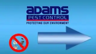 Video Promotion for Pest Control