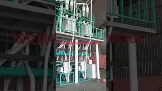 Mozambique installed 50t per day maize flour mill production line #maizemill #cornflour #cornmeal
