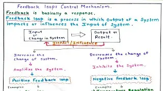 Feedback loop Control Mechanisms (Type of feedback loops)