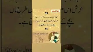 maulana romi quotes #maulanaromanrizvi #shorts #aqwalezareen #shortvideo