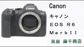Canon キャノン EOS R6 Mark II デジタル 一眼レフ カメラ