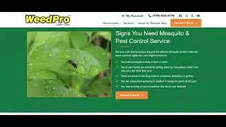 Mosquito Control Alpharetta | Weed Pro Lawn Care &ndash; Lawn, Weed & Pest Solutions in Georgia