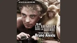 Animal Requiem