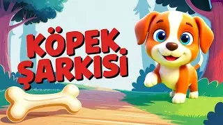 Hav Hav Minik Köpek 🐶 | Köpek Şarkısı | Bebek Şarkıları | Neşeli Şarkılar