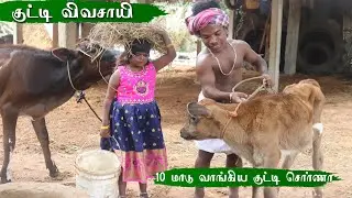 🌾🐄புதிதாக மாடு வாங்கிய குட்டி விவசாயி 🐄 குட்டி சொர்ணா 🌾