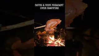 Hunting and cooking pheasant over the campfire