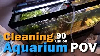 POV Aquarium Cleaning & Water Change | Deep Clean 90 Gallon Fish Tank + Filter Maintenance