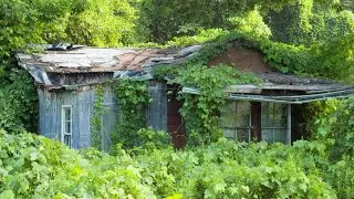 An Overgrown Yard, A Forgotten House &mdash; One Man Didn&rsquo;t Look Away