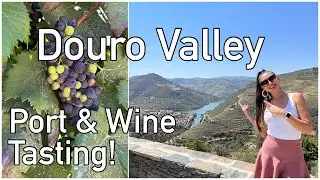Douro Valley Wine Tasting Tour & Boat Trip on the Douro River: A Unique Experience!