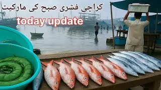 Fishri Rate Today | Fish Market | Karachi Fishri Subah Ki Market | Fish Rate | 28-8-25 Sumair #fish