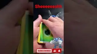 Sun and Moon Base Set! #pok&eacute;mon #shorts #opening #unboxing