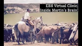 Evidence Based Horsemanship 2023: A Look Inside the Brain of Martin Black