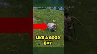 FIRST FRIENDLY RUST PLAYER☺️