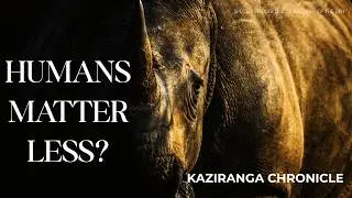 Camus and Kaziranga: Strict Anti-Poaching Enforcement || Saving Rhinos or Losing Our Humanity?