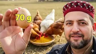 Haldi Se Banai Hui Khuraq Ka Aisa Result? 🔥 Truth Revealed