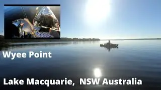 Wyee Point , Hobie kayak fishing , Lake Macquarie NSW , Australia