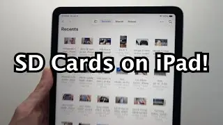 iPad: How to Use SD Card! (Best Adapters)