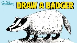 HOW TO DRAW A BADGER easy step by step