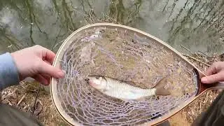 Fishing Seneca Creek&mdash;the trout truck showed up!