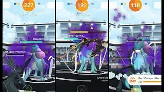Shadow Suicune Trio Raid in Pok&eacute;mon GO - Easy with 3 Trainers, Electric Zekrom and Mega Rayquaza