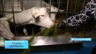 Animal Outreach: Ukrainians feed animals abandoned at ousted president&rsquo;s private zoo