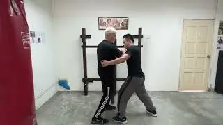 ‘WSL Ving Tsun Kuen Hok’ - breaking it down #51 - the ‘Siu Nim Tau’ form in detail (Pt.15)