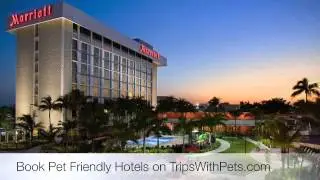 Pet Friendly Hotels Austin, Texas
