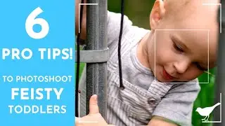 How to do a Photoshoot with a Toddler Video