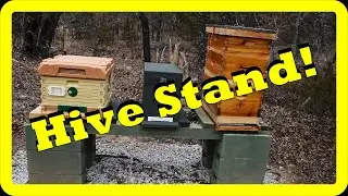 Hive Stand for Bees!