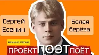 Сергей Есенин - белая береза | песня | ПРОЕКТПОЭТПОЁТ 