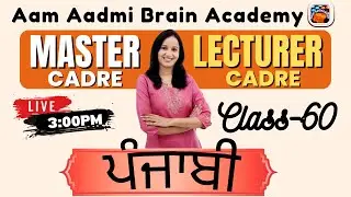 Master Cadre Punjabi | 2nd paper preparation |master cadre new update |Aam Aadmi Brain Academy