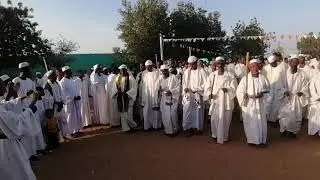 يبنادي ناد وناهم أبناء الشيخ عبدالقادر ابوكساوي