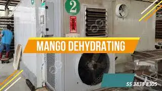 M&aacute;quina de procesamiento de mango seco
