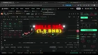 Making $8,000 Trading Chinese Memecoins!