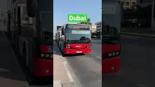 Dubai National day 1
