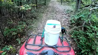 deer season prep bait and mineral site