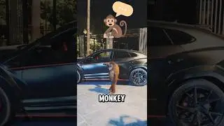 Monkey Driving an Uber 🐒🤯 What Really Happened in Dubai?
