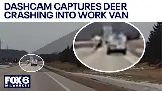 Dashcam captures deer crashing into work van in Mequon | FOX6 News Milwaukee