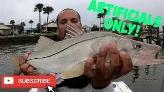 Fishing SNOOK!