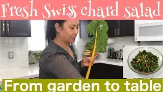 From garden to table: FRESH SWISS CHARD SALAD