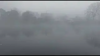 Foggy Albion #nature