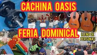 En CACHINA OASIS, de Villa Salvador se puede encontrar TODO