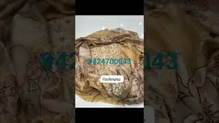 Pashmina printed designer suits