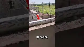 kabel listrik di dalam rumah #shorts #shortvideo