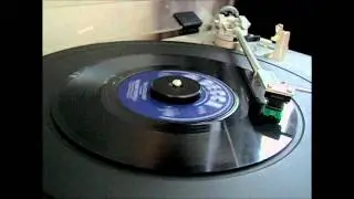Marianne Faithfull - This Little Bird Vinyl Single