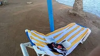 3.Первый день в отеле Mirage Bay Resort & Aqua Park. Кража века и важная миссия. Хургада,12.2025