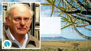 Kokerwenners 2021: Prof. J.C. Steyn - Lewenslange Bydrae (Postuum)