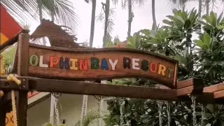 Pitta and Nino at Dolphin Bay Resort Samroiyod
