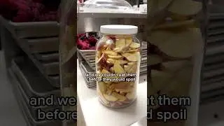 Obsessed with these freeze dried apple slices! 🍎 #shorts #freezedried #zerofoodwaste
